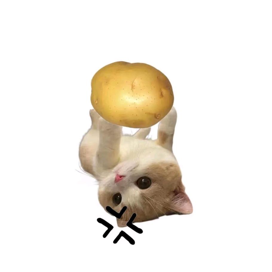 逻辑大王.o
