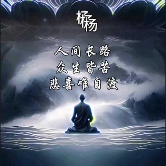 佛系的菩提…