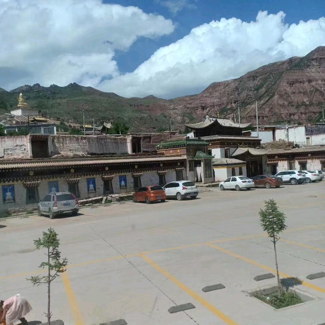 你若盛开，福自来。