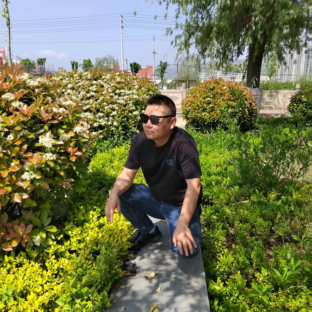 龙哥