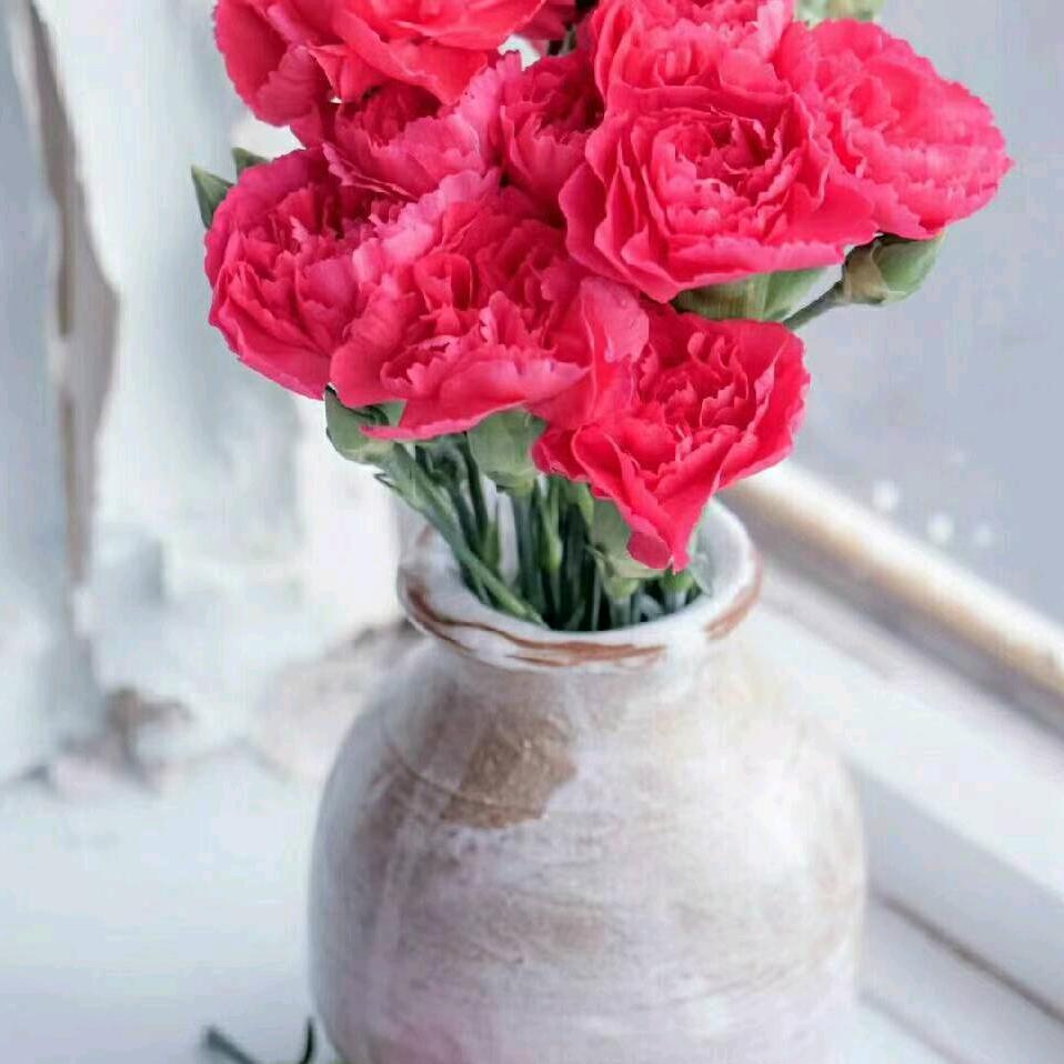 三原县，独李，大量收树人