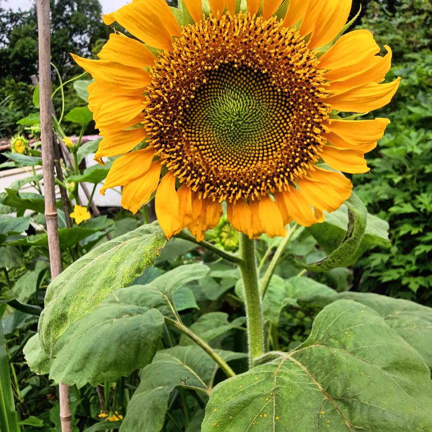 魏氏家族一家亲