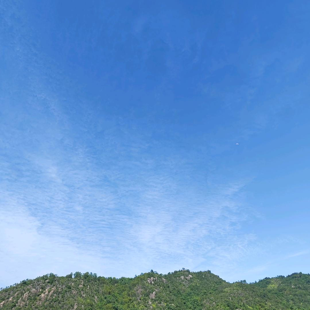 丽圆《拒绝连赞》