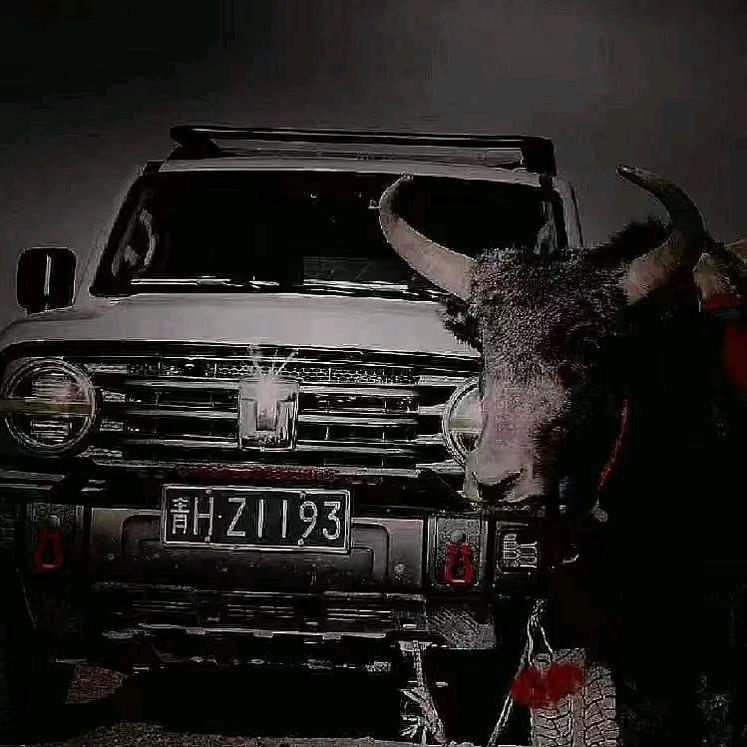 ❤️────࿐ıı|ıı| 6