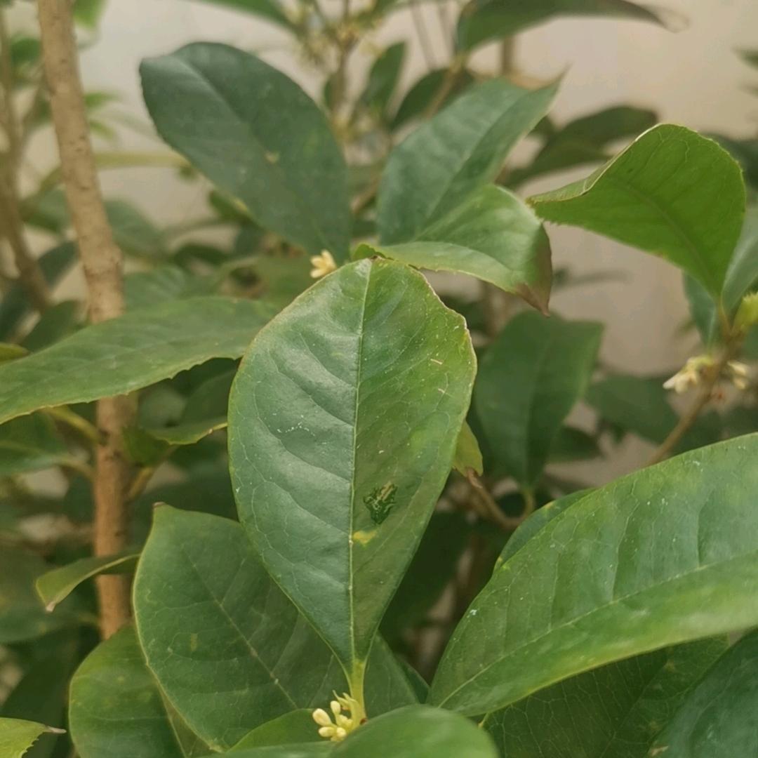 小朋友们班