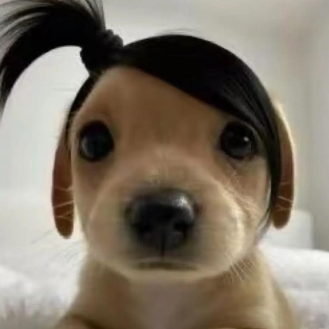 纯鑫☆