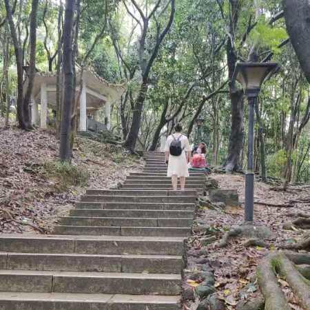 风雨后的彩虹🌈
