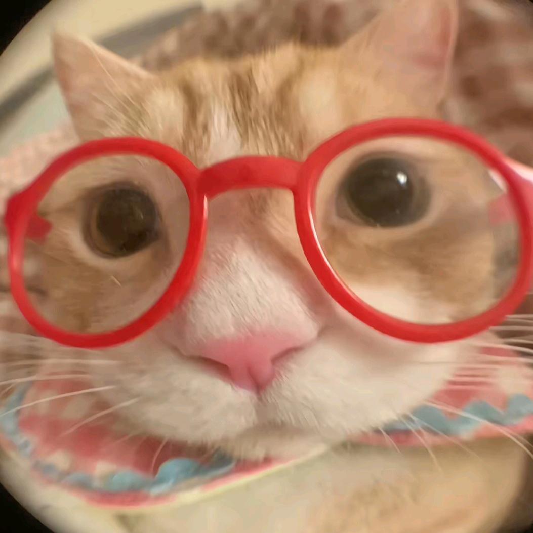 ⁰⁵思瑶¹⁶💐