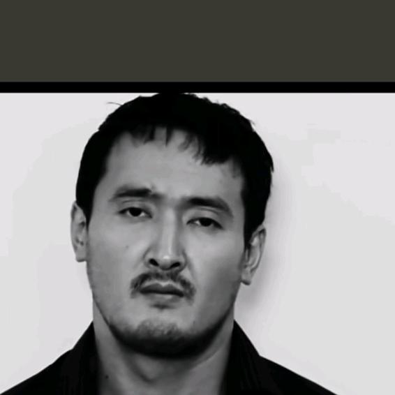 人生只剩归途