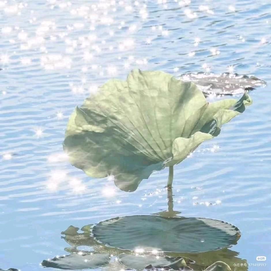 张姐《杨家军》