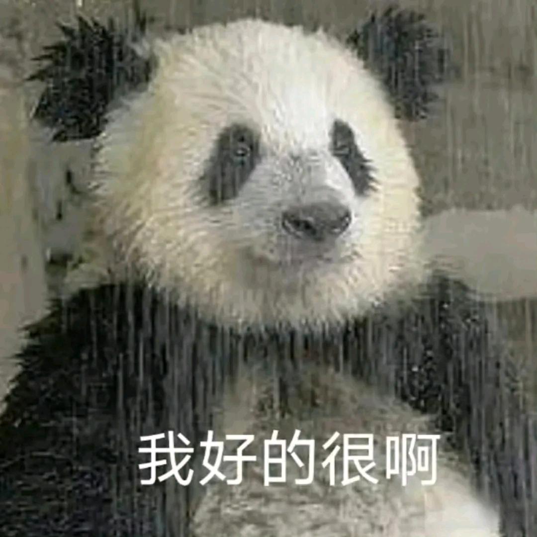 浅浅的煤司 & 橘司（失恋多久能走出来）