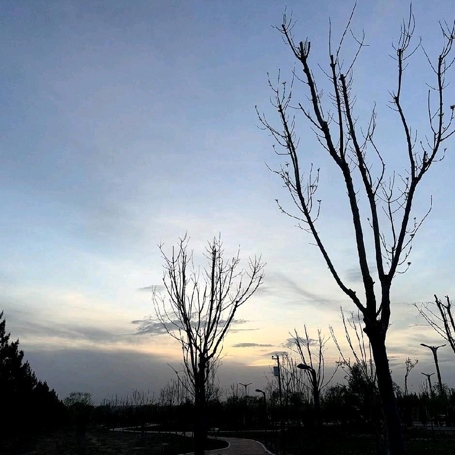 我在想一个名字到底有多长