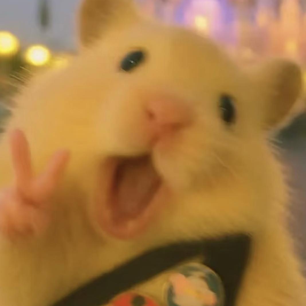 闹嘛