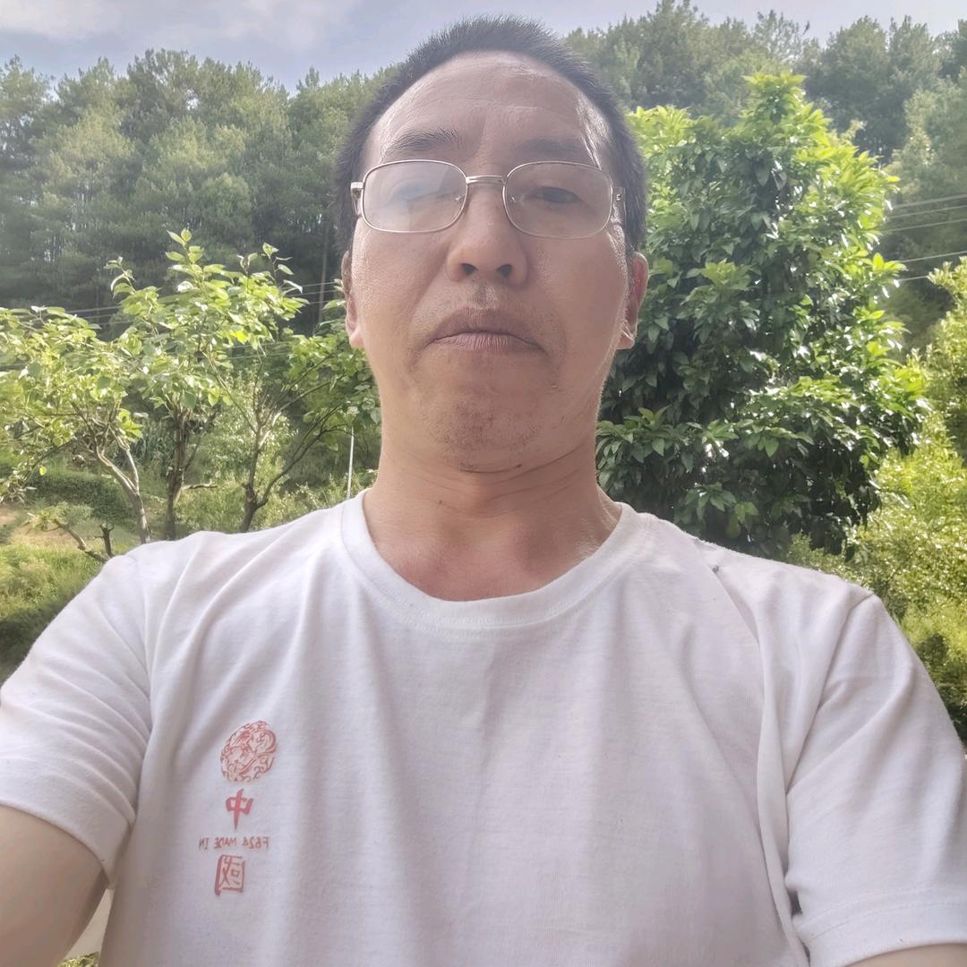 陶哥