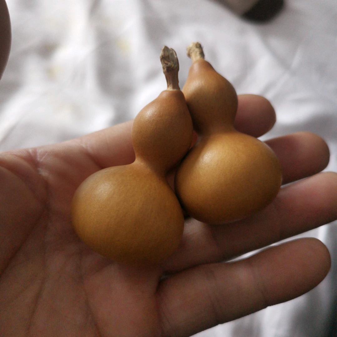 一个小宝贝二哥