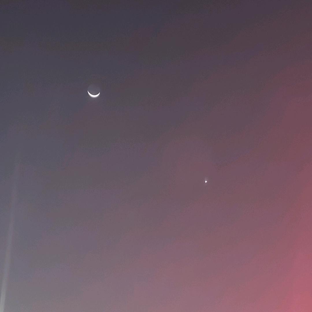佳