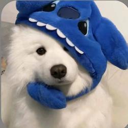 鹿游溪