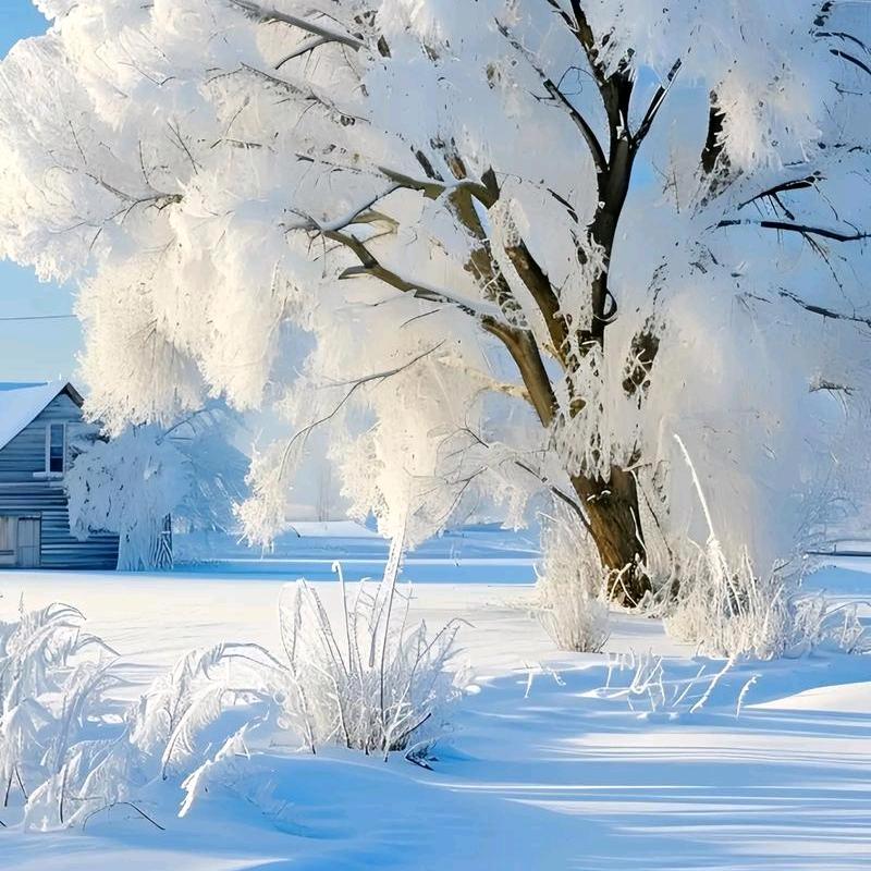 明天会更好的11