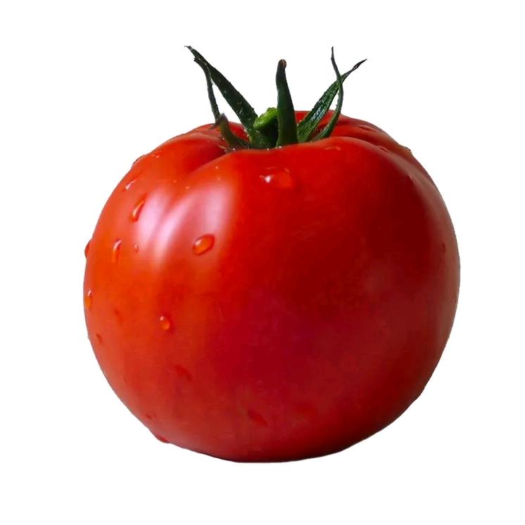 🍅番茄鸡蛋