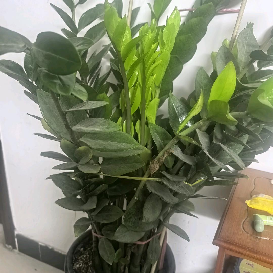蓝天白云