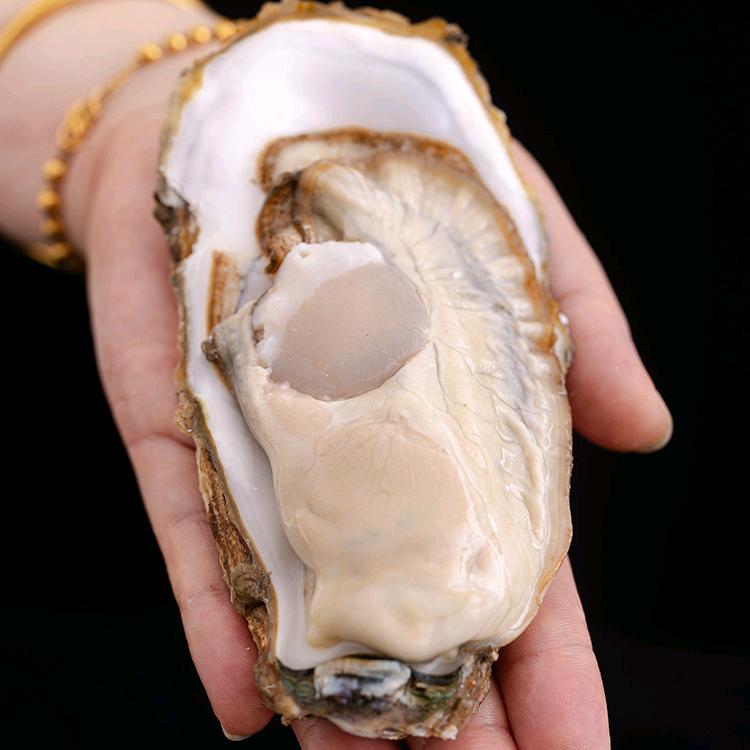 乳山蚝小飞生蚝工厂