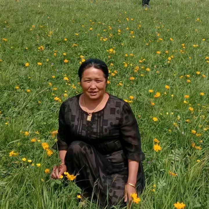 ،،،،