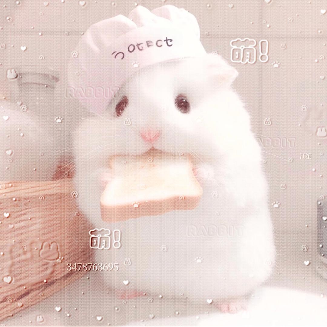 江笙大帝