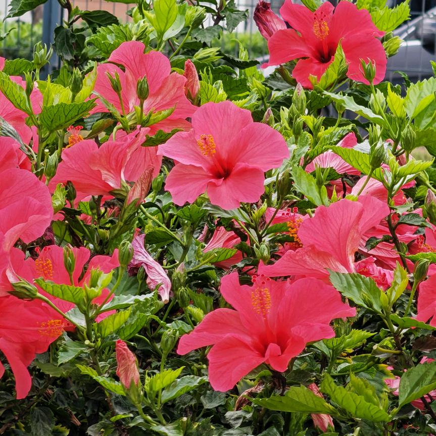 🚬笑敬ᝰꫛ过往ಇ᭄