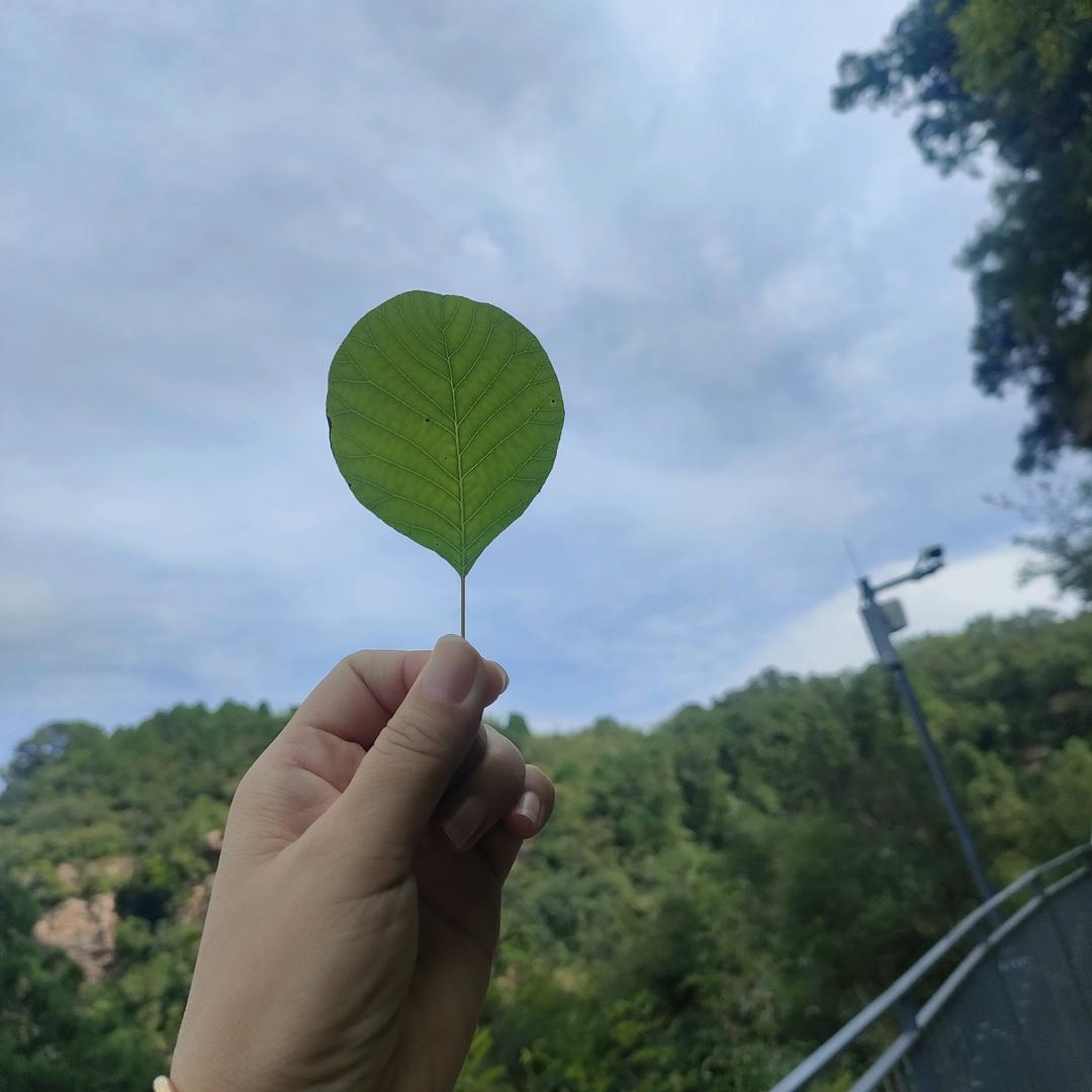 八零后