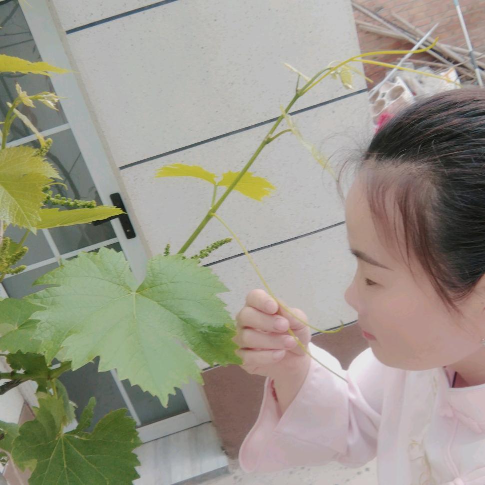 💞ღ᭄玉兒 づ❤️ど