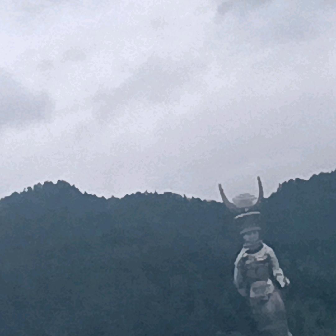追亿年华
