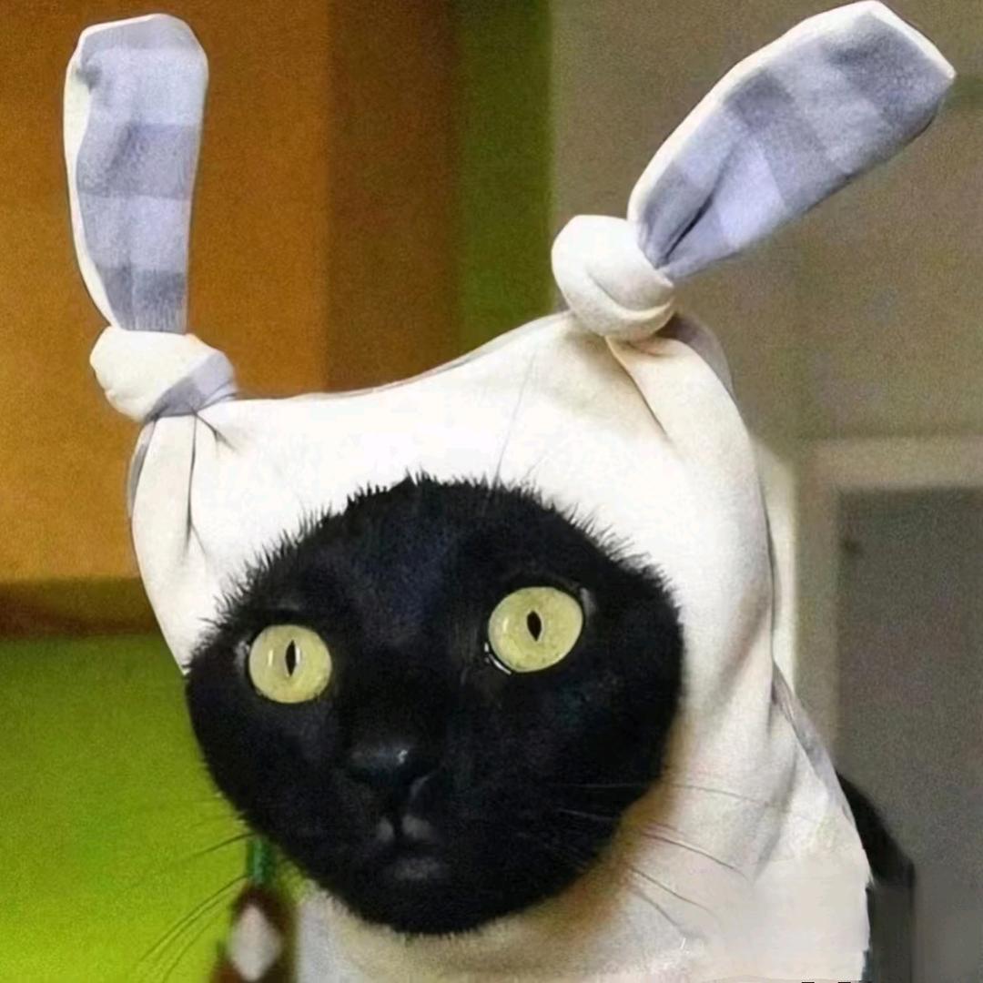 咪²