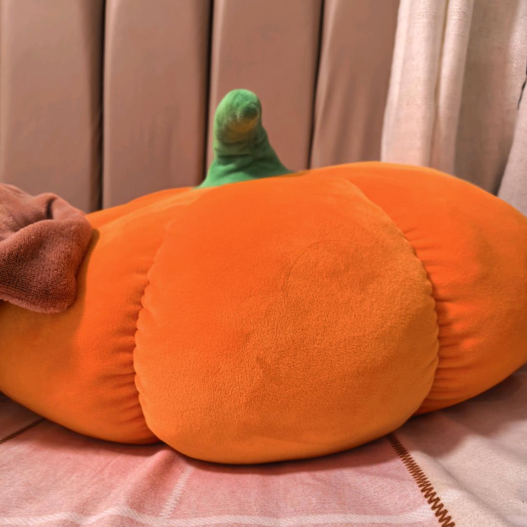 老兵找房（房浩房产）