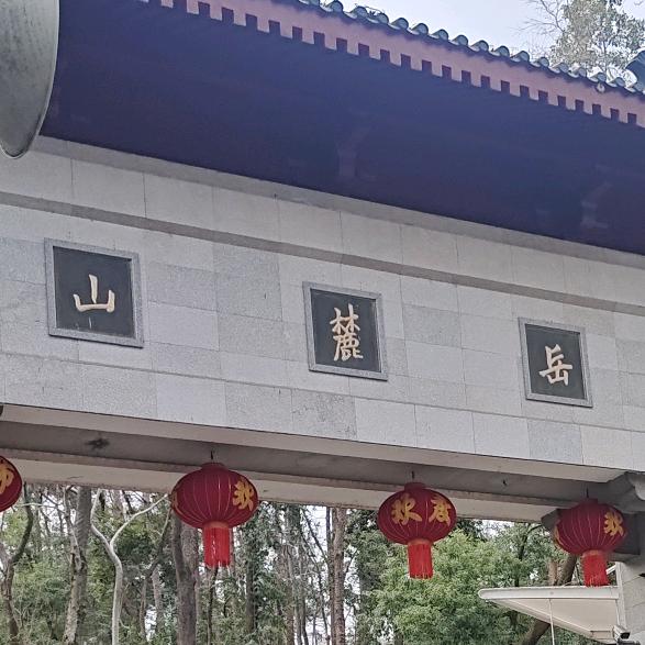 陈槐灵（小号）