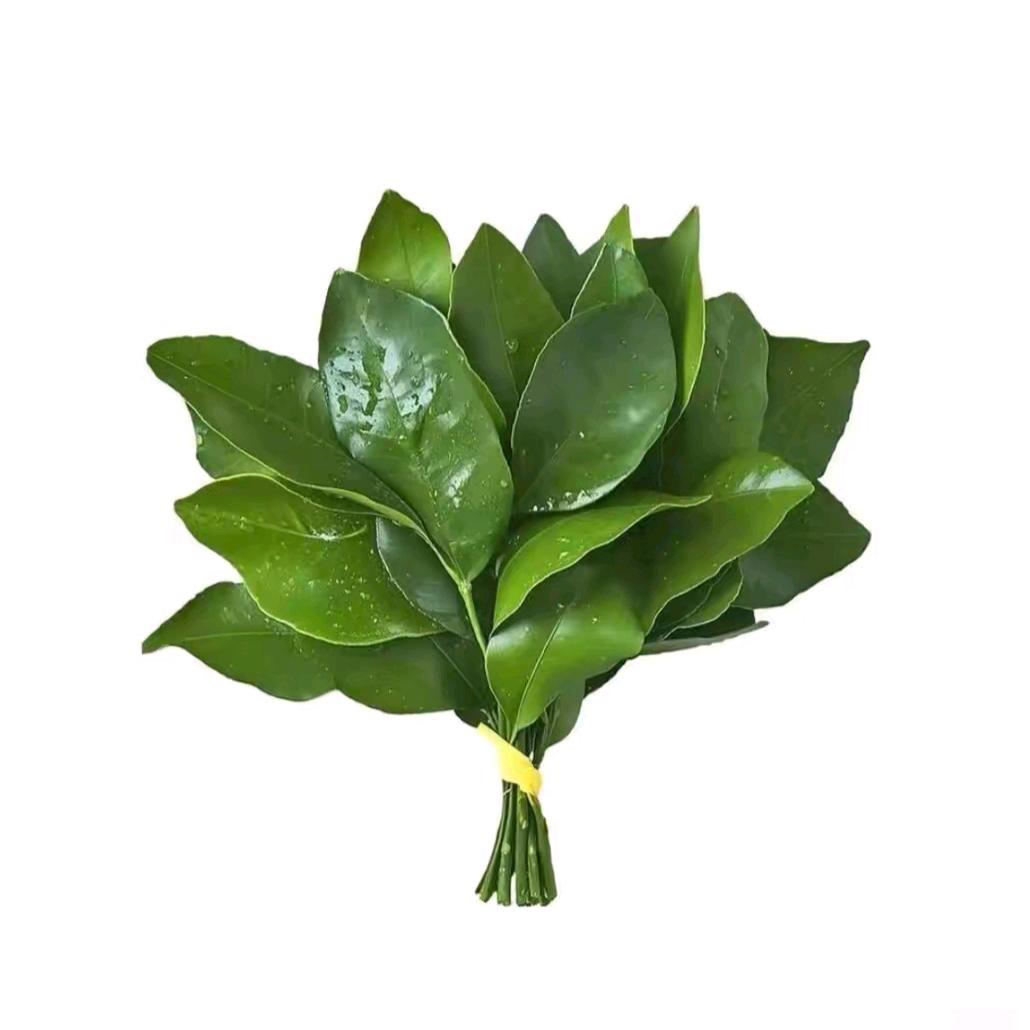 我也不是很懂他.