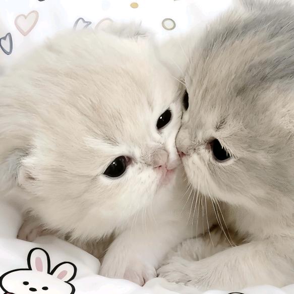 󠀀󠀀󠀀󠀀󠀀