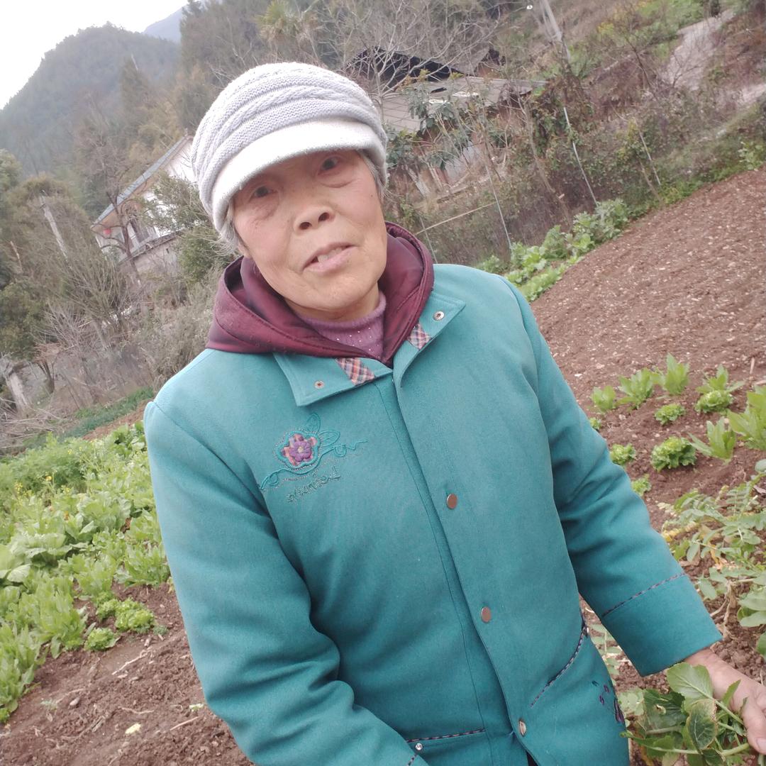 波涛不止
