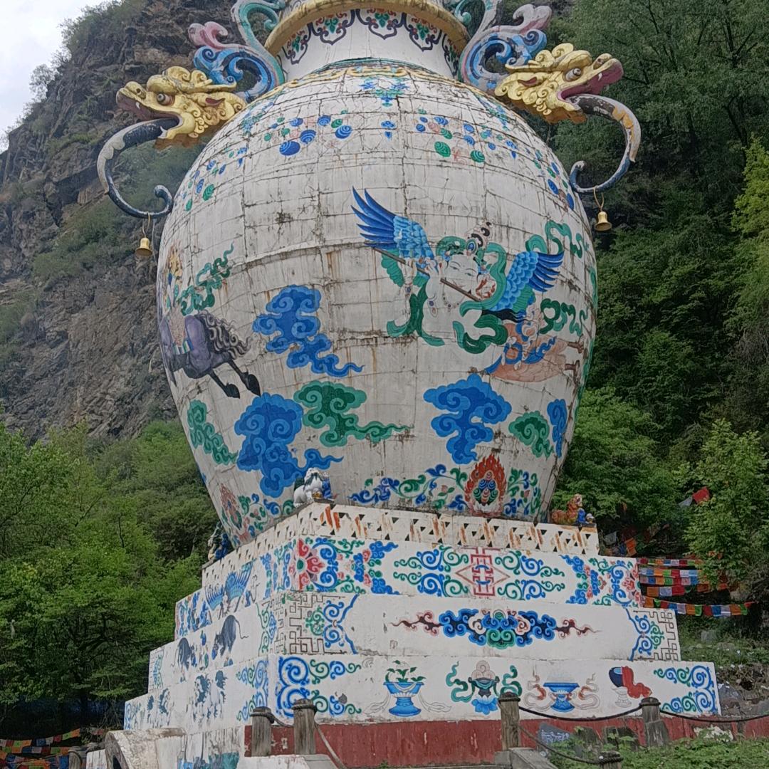 本号已回收