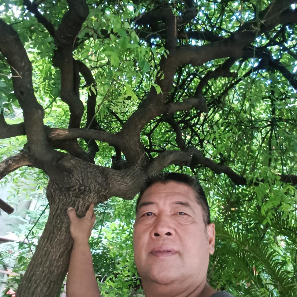 吃亏是福