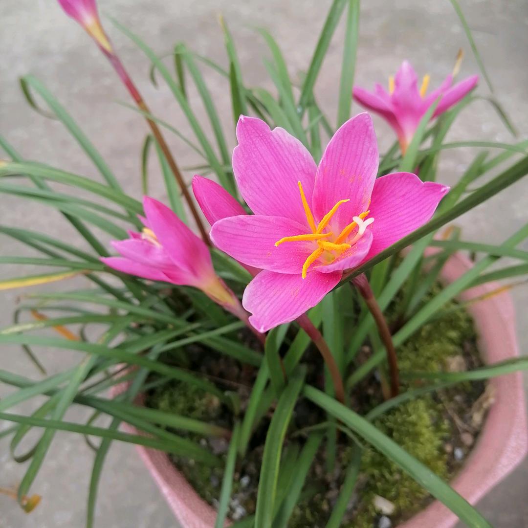 🌞简单快乐🌻