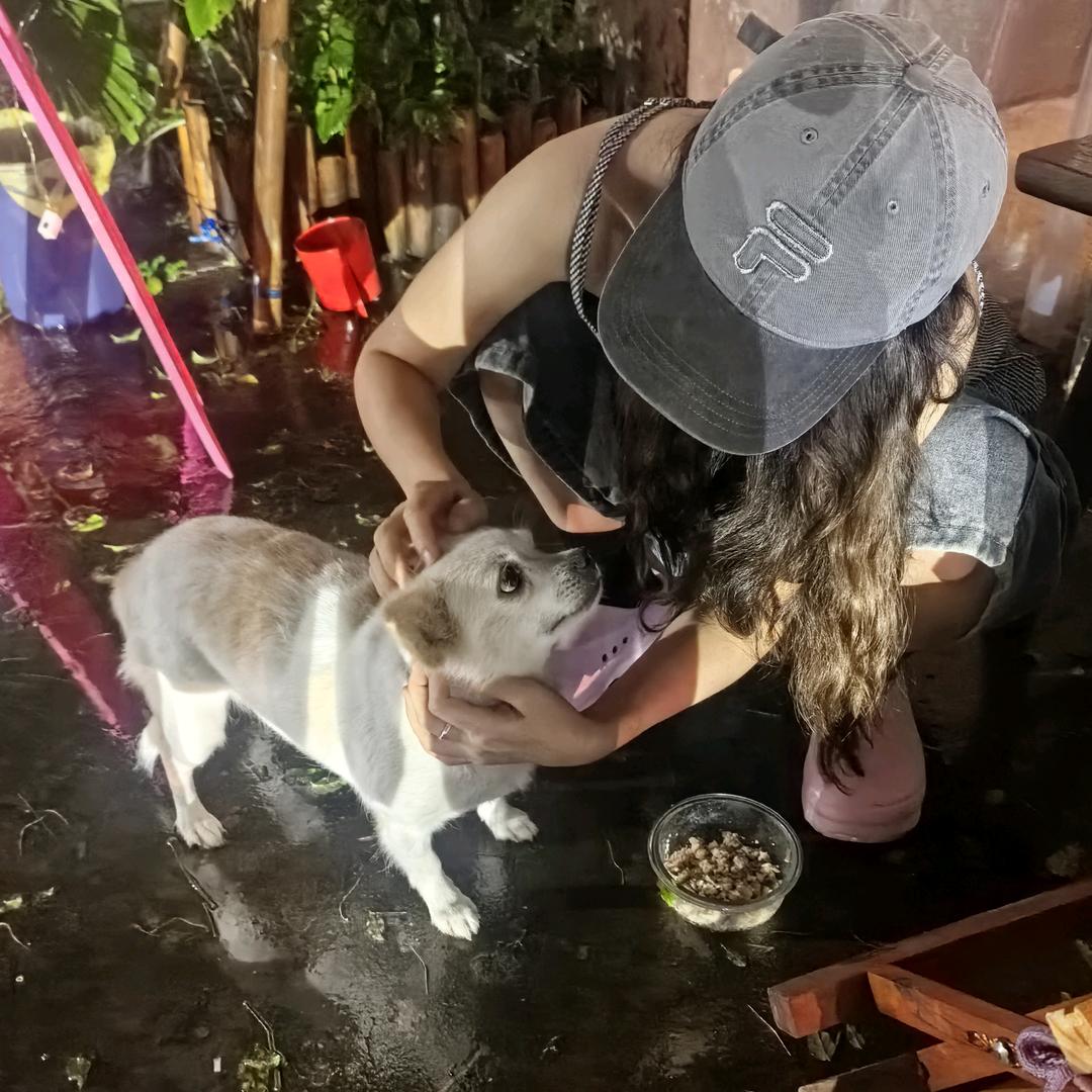 树洞Coffee House官方号