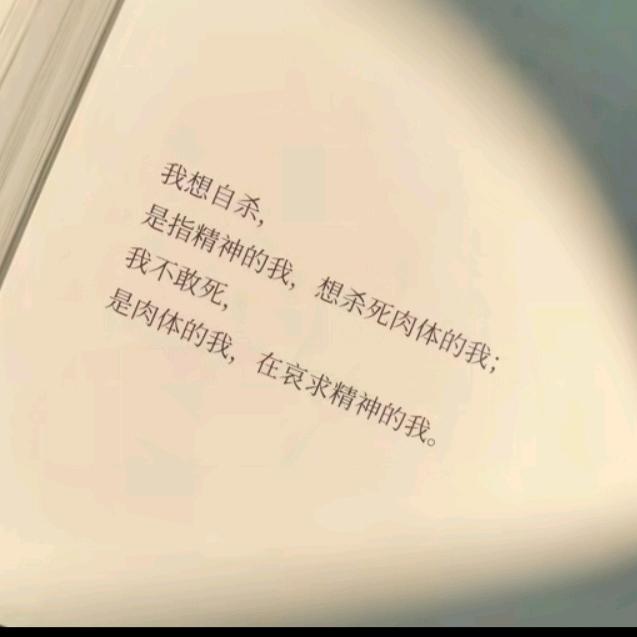 晨光熹微