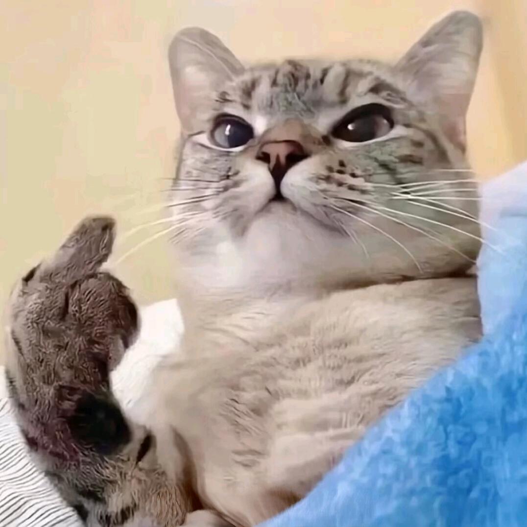 招聘寒假工，校内劳务（小象超市优先招聘）