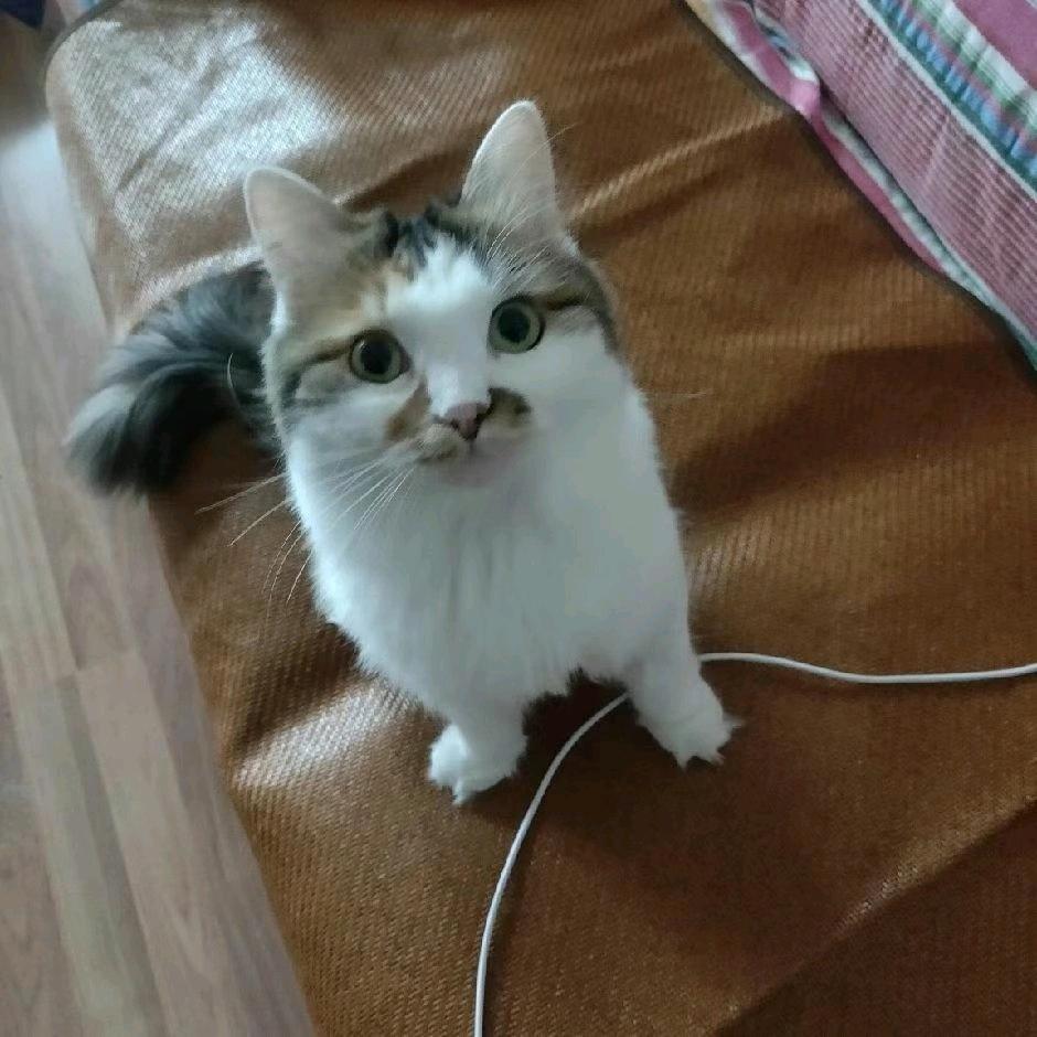 经曲音乐台--好歌天天唱