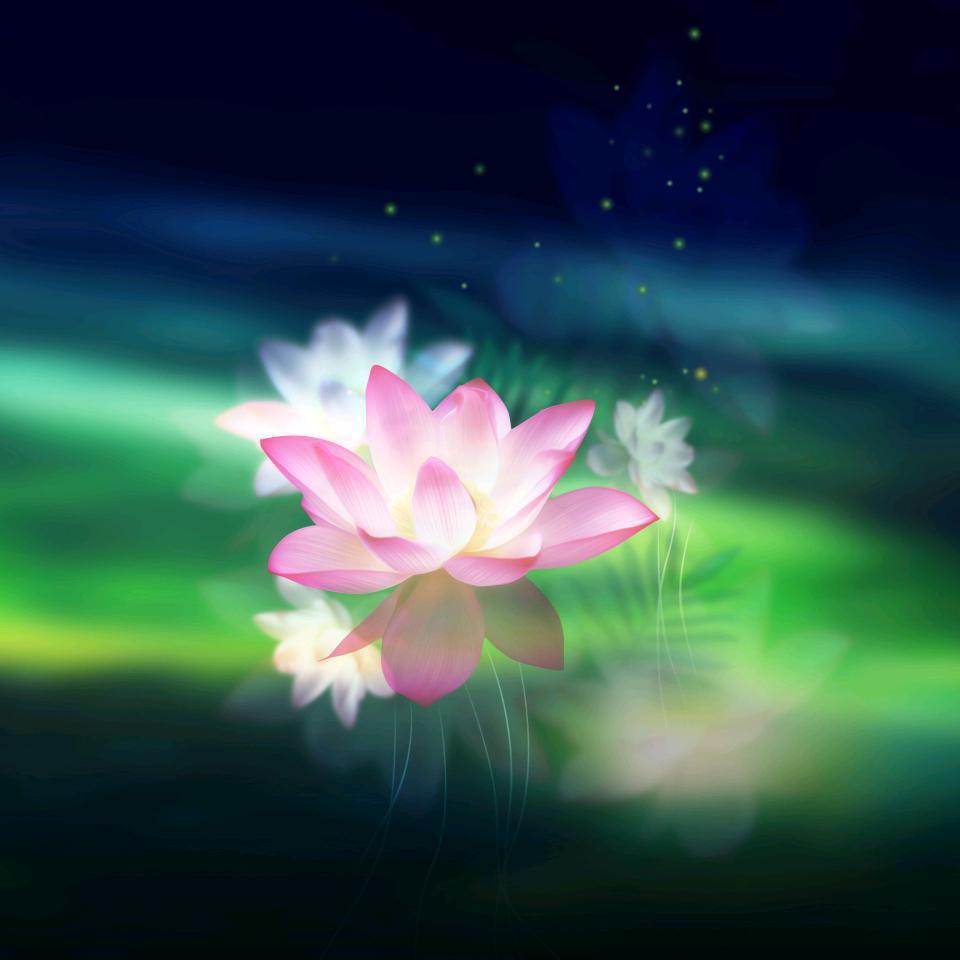 嵩