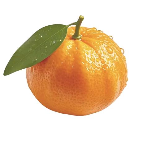 他们叫我小郭