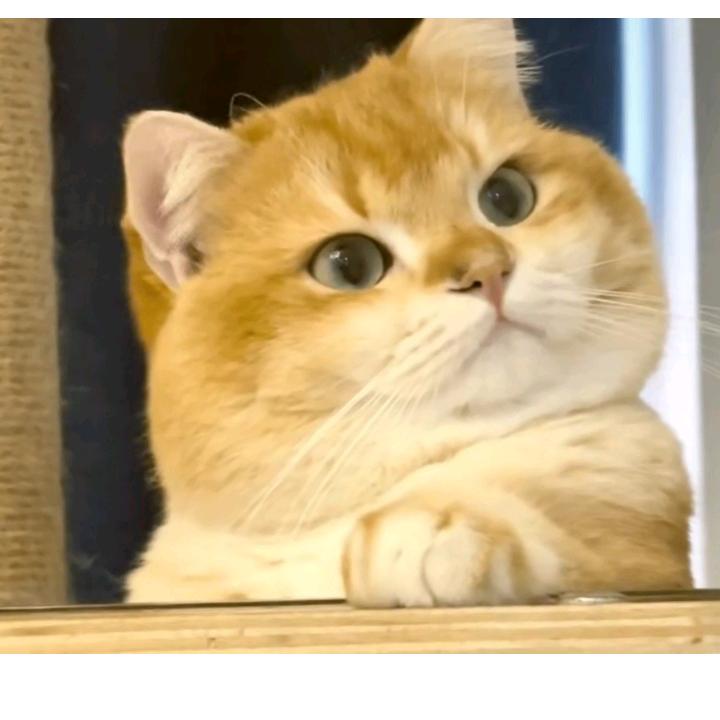 一剑劈开你的♥️♥️