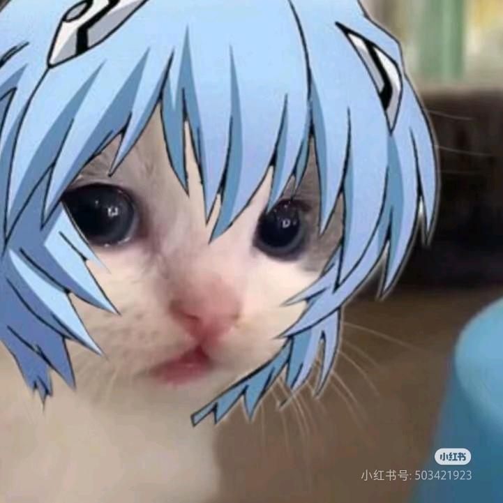 翡行的土豆