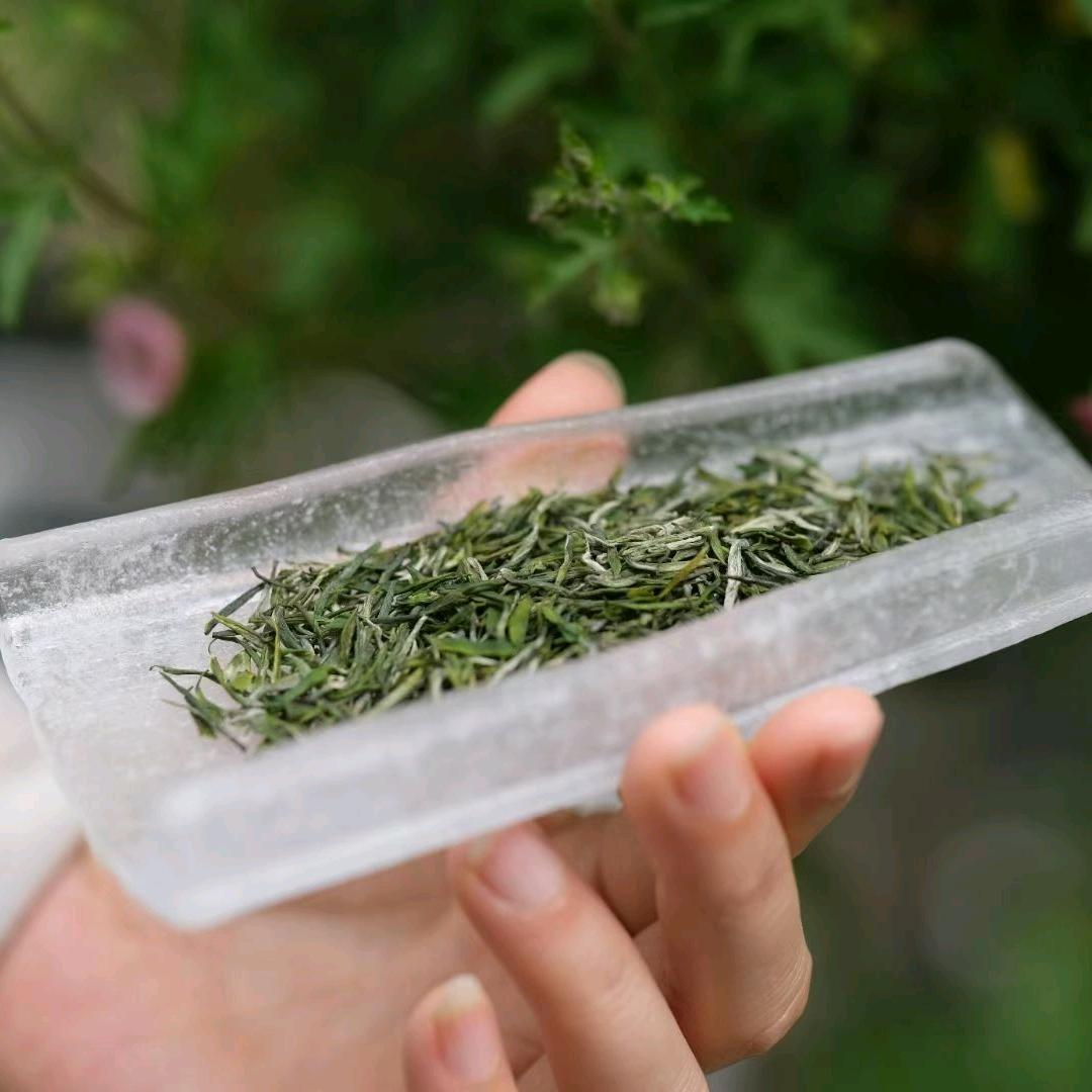 南京雨花茶事