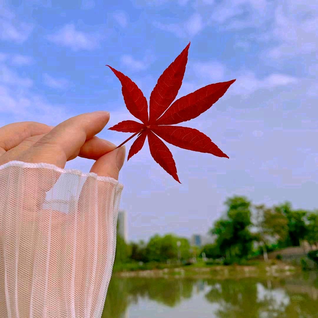 烟💖雨